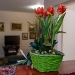 Apartman Vucetic Kraljevi Konaci